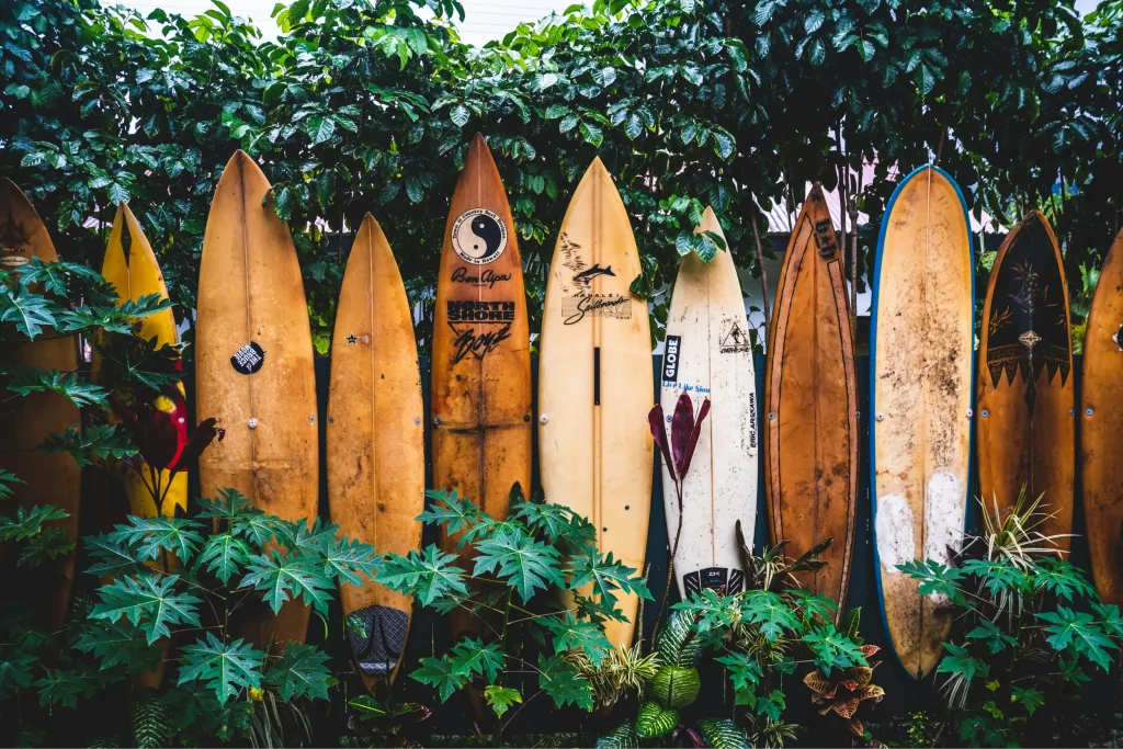 équipement surf